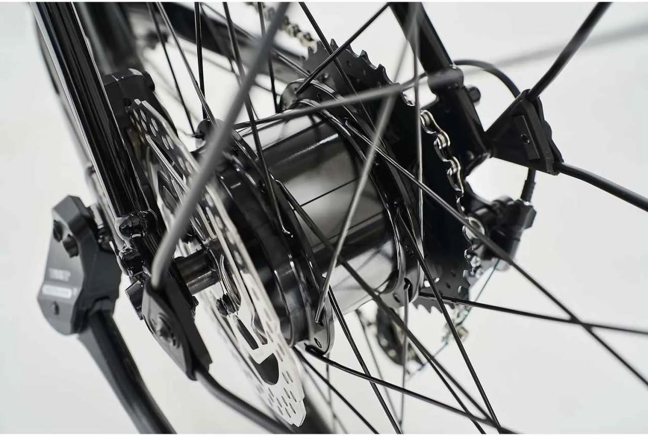 Diamant 365 (Highstep) Tiefschwarz E-Bike Trekkingrad Herren â Bild 3