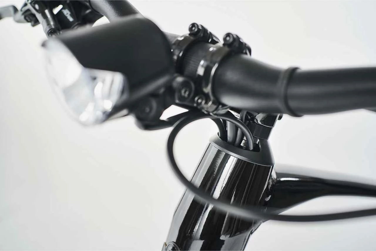 Diamant 365 (Highstep) Tiefschwarz E-Bike Trekkingrad Herren â Bild 4