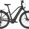 Kalkhoff Endeavour 5.B Advance+ Green Black E-Bike Trekkingrad Damen