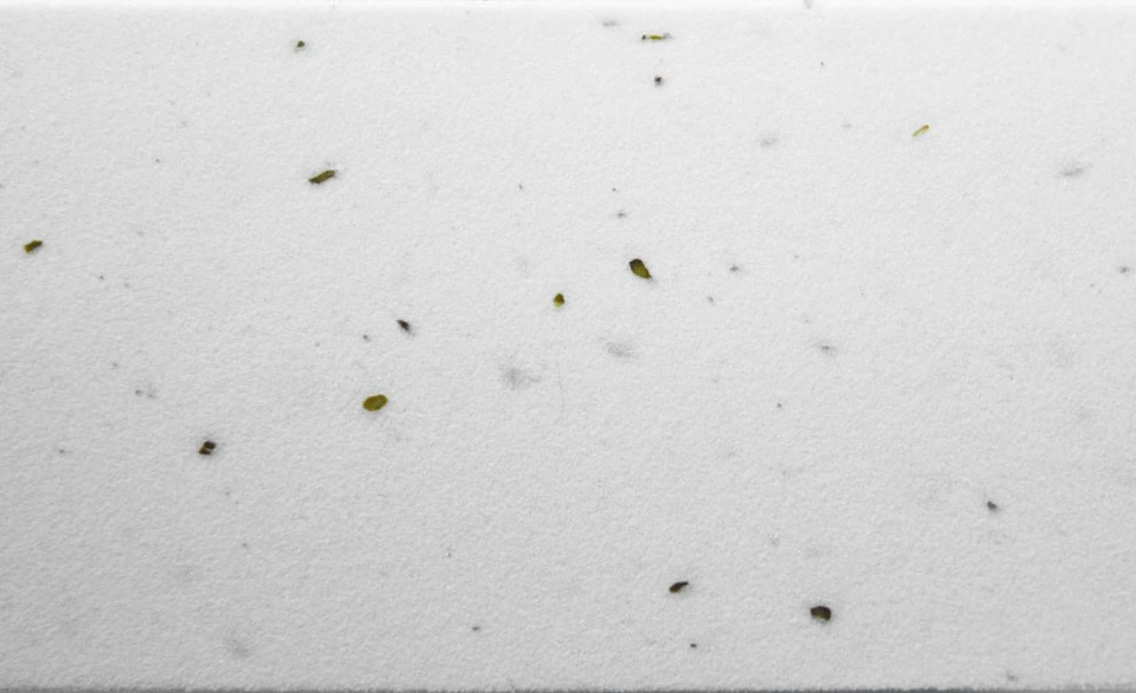 Cube Lenkerband Cork White