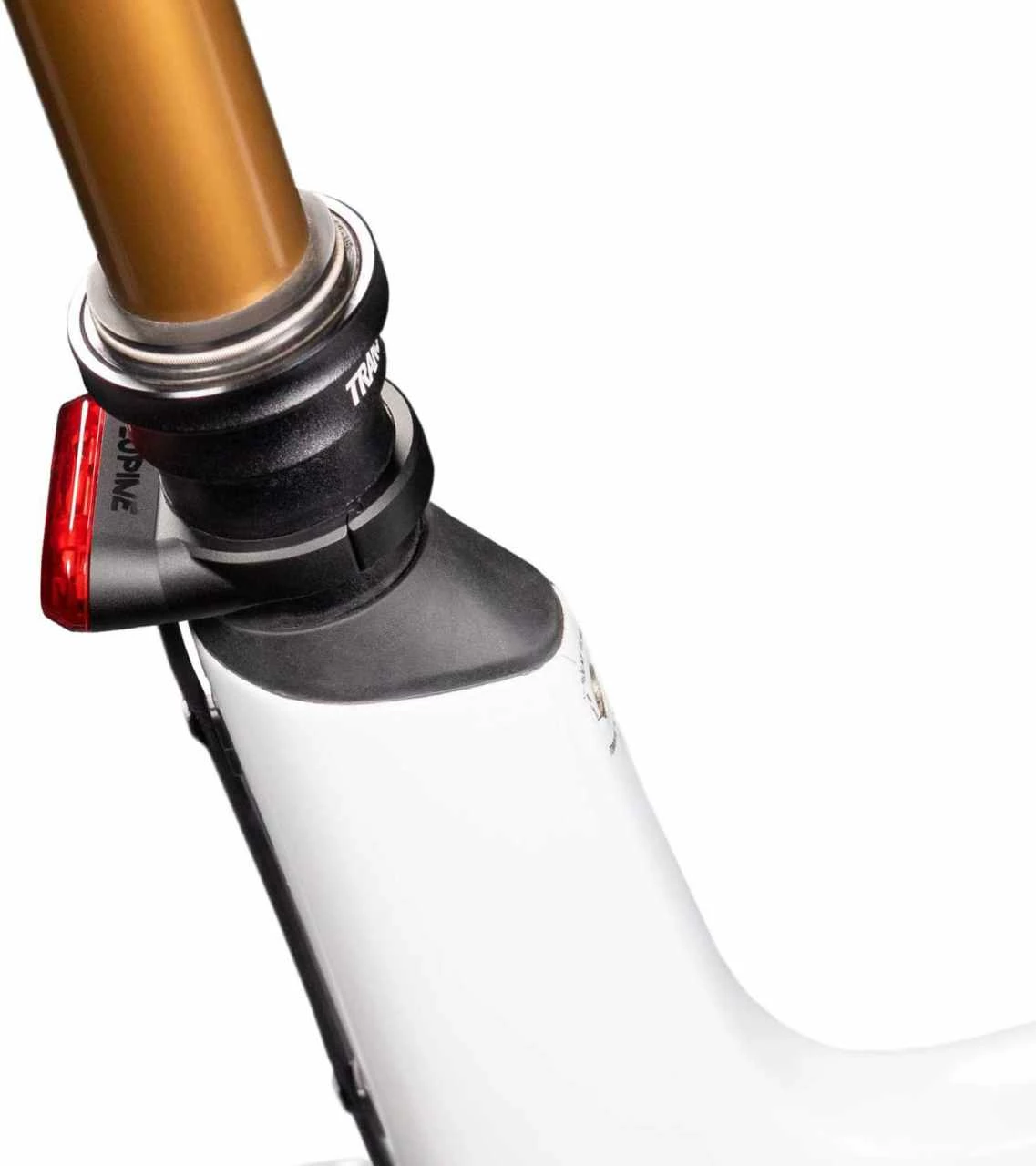 Lupine C14 SP Rücklicht (Sattelstützen-Version) Mit Bremslicht StVZO – Bild 7